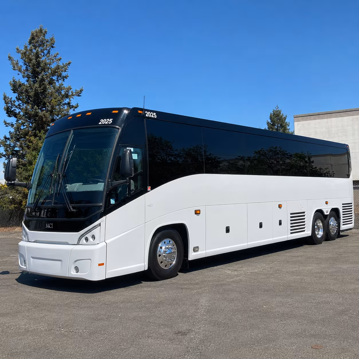 Cape Coral School Event Transportation party bus exterior
