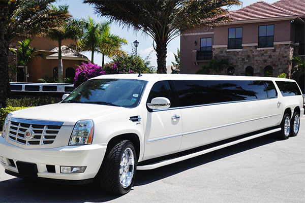 Cape Coral 20 Passenger Limo