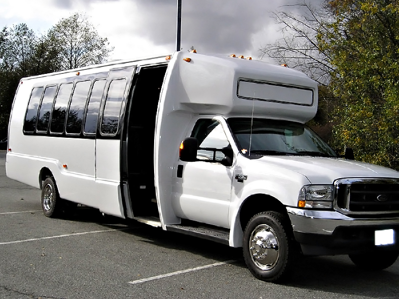 Cape Coral 22 Passenger Party Bus